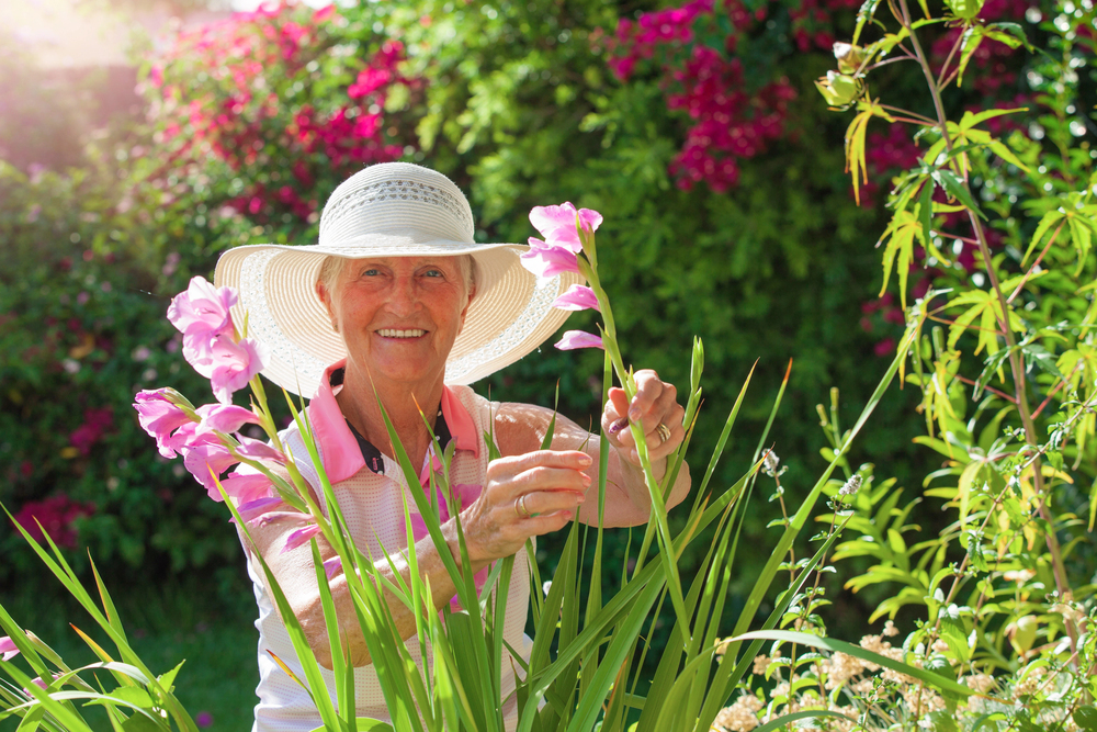 retiree gardening